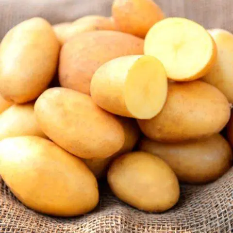 Potato varieties with yellow flesh