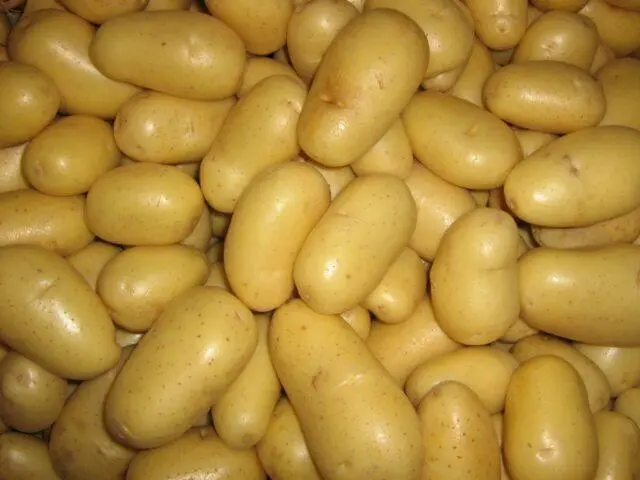 Potato varieties with yellow flesh