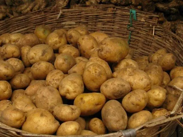 Potato varieties with yellow flesh