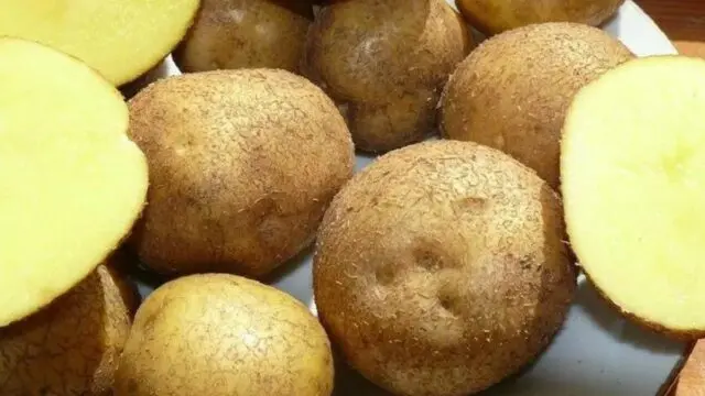 Potato varieties with yellow flesh