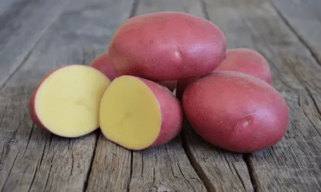 Potato varieties with yellow flesh