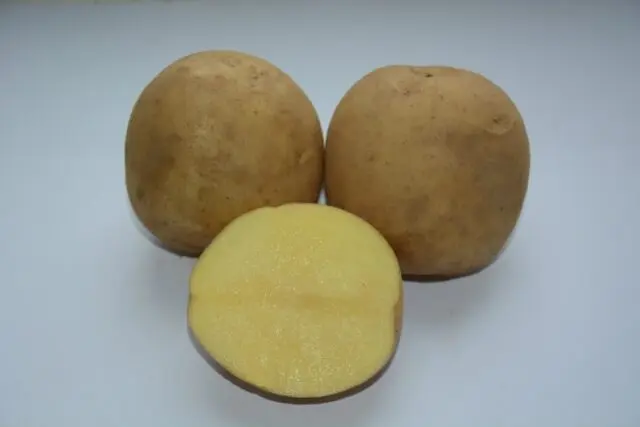 Potato varieties with yellow flesh