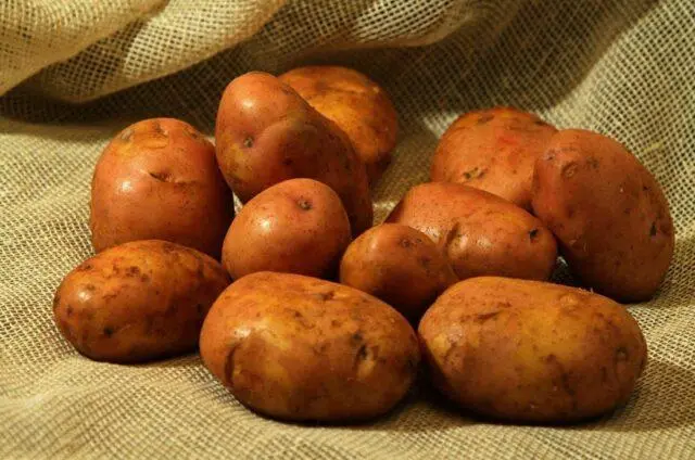 Potato varieties with yellow flesh