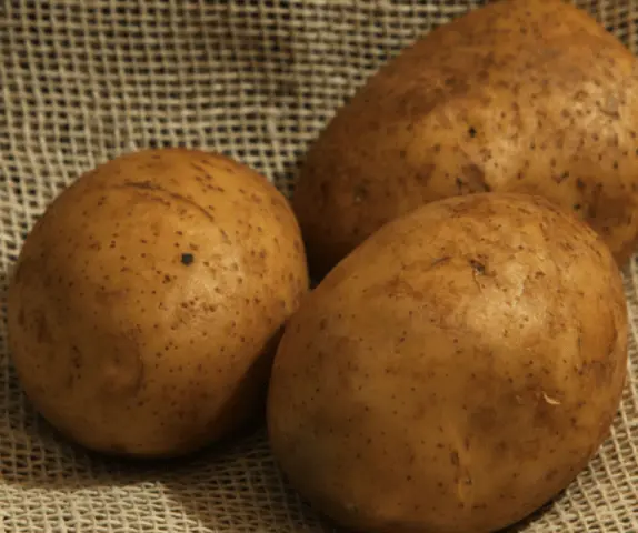 Potato varieties with yellow flesh