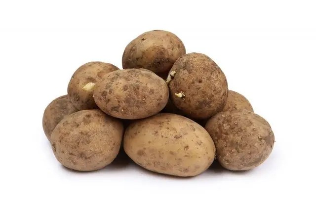 Potato variety Jura (Isle Of Jura): reviews and description