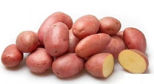 Potato variety Kumach