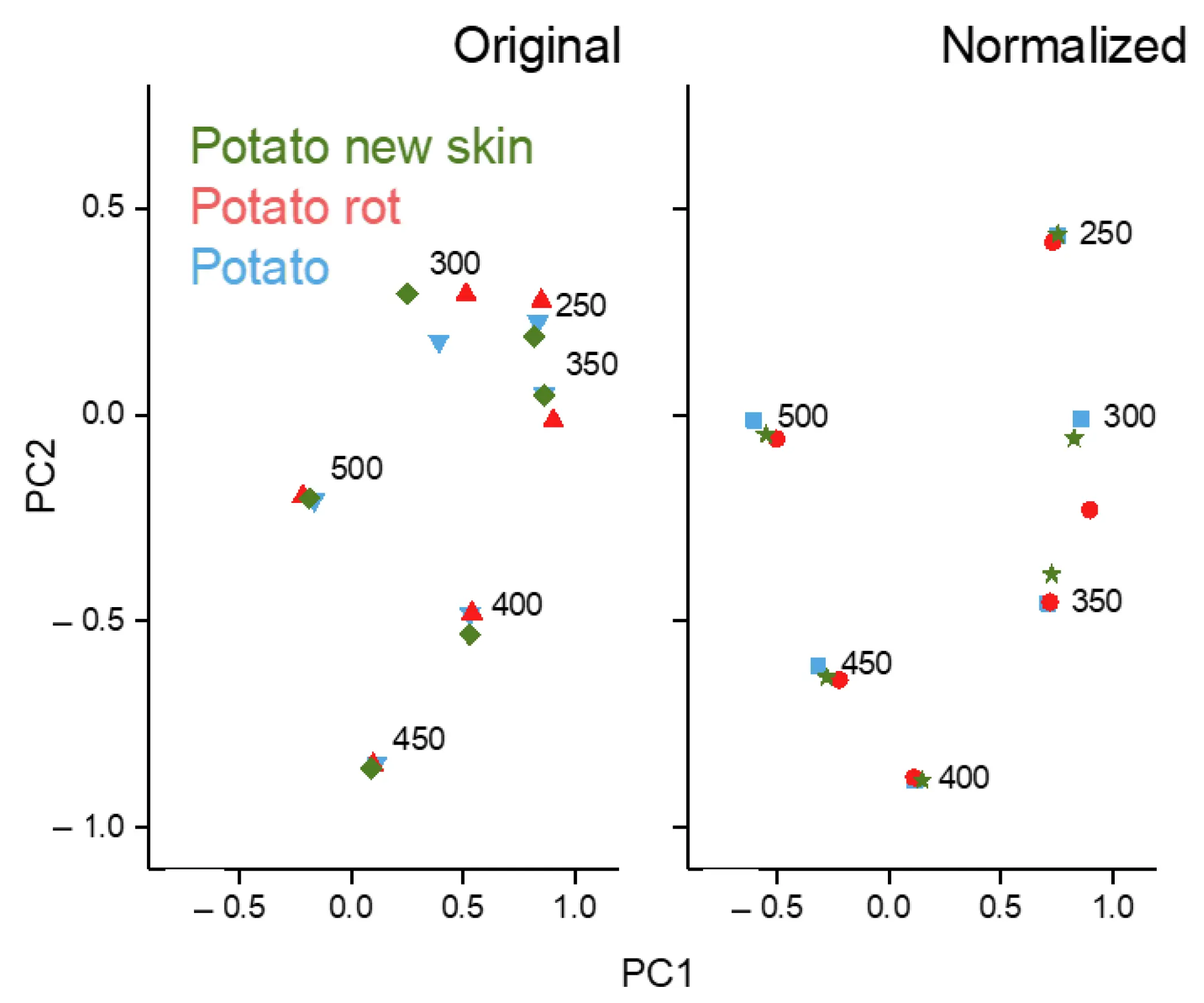 Potato variety Kumach