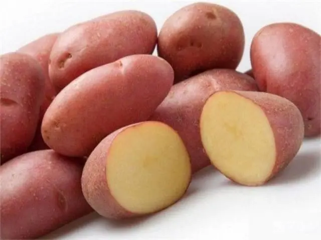 Potato variety Manifesto: characteristics, reviews