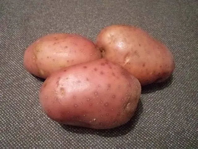 Potato variety Manifesto: characteristics, reviews