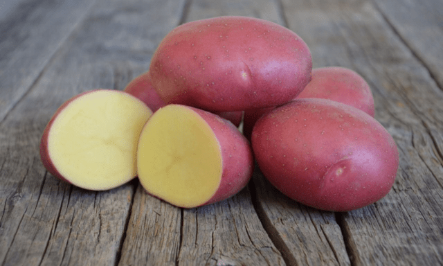 Potato variety Memphis: characteristics, photos, reviews