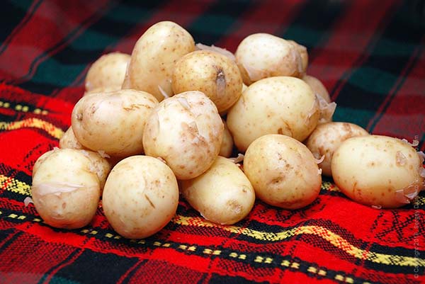 Potato variety Veneta: characteristics, reviews