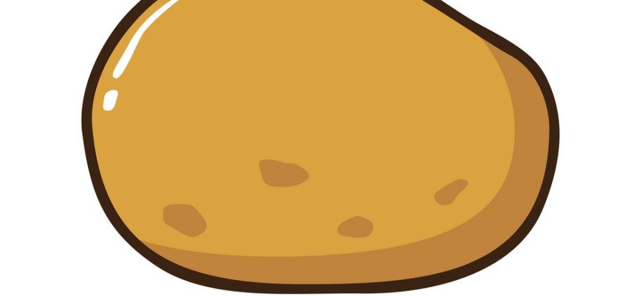 Potato Vector