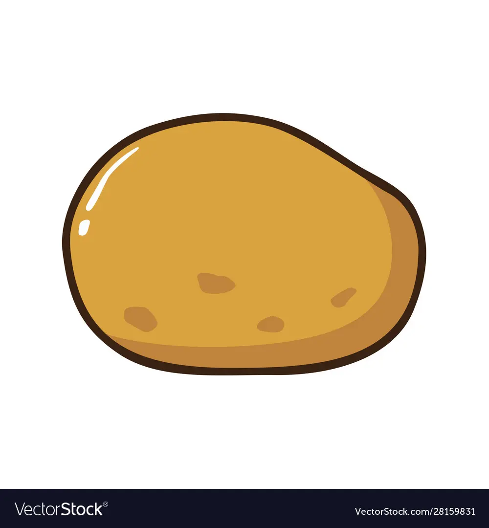 Potato Vector