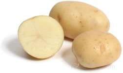 Potato white rose