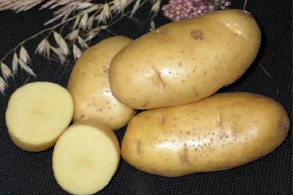 Potato Wizard