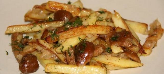 Potatoes with butter, fried in a pan: cooking recipes with fresh, frozen, boiled mushrooms