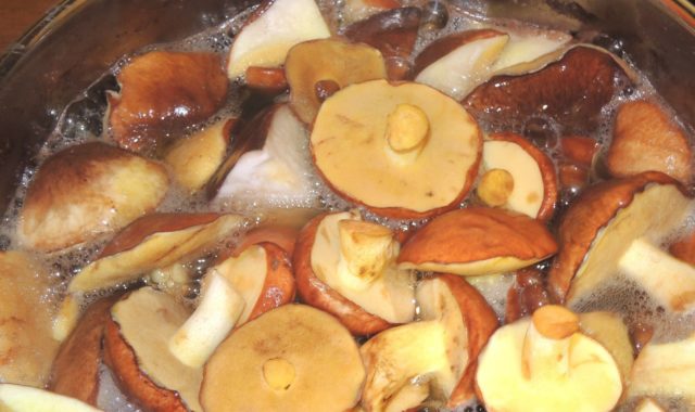 Potatoes with butter, fried in a pan: cooking recipes with fresh, frozen, boiled mushrooms