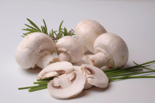 Potatoes with champignons and sour cream: in the oven, in a pan, stewed, fried