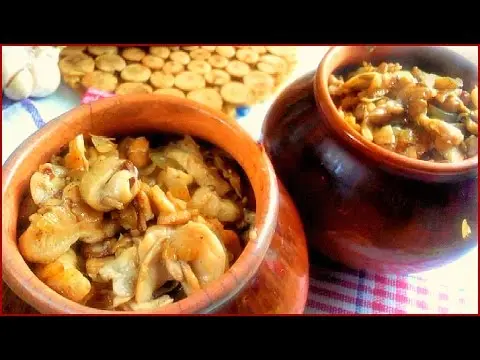 Potatoes with oyster mushrooms in the oven: cooking recipes