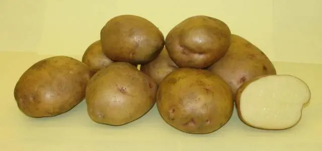 Potatoes Zhukovsky: variety description, photos, reviews