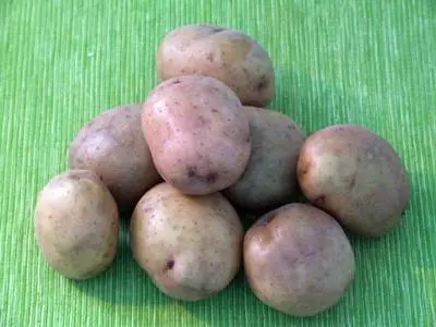 Potatoes Zhukovsky: variety description, photos, reviews