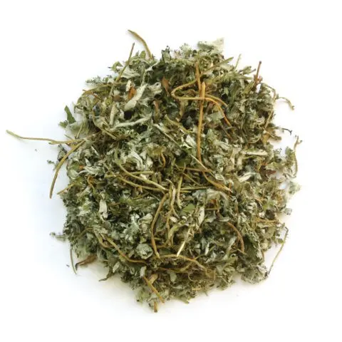 Potentilla goose: photo and description, benefits, applications