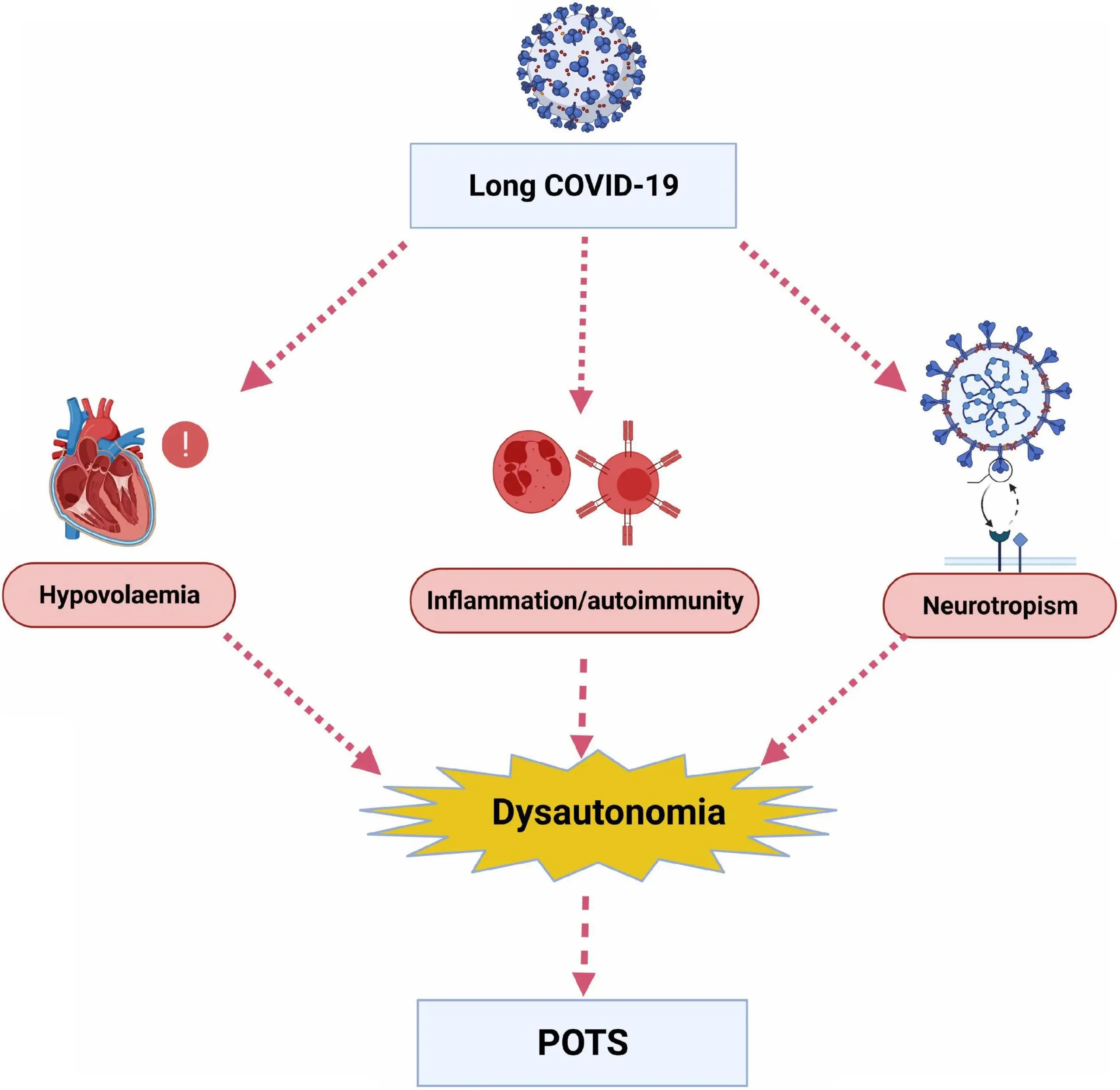 POTS is becoming more frequent. This complication from COVID-19 surprised doctors