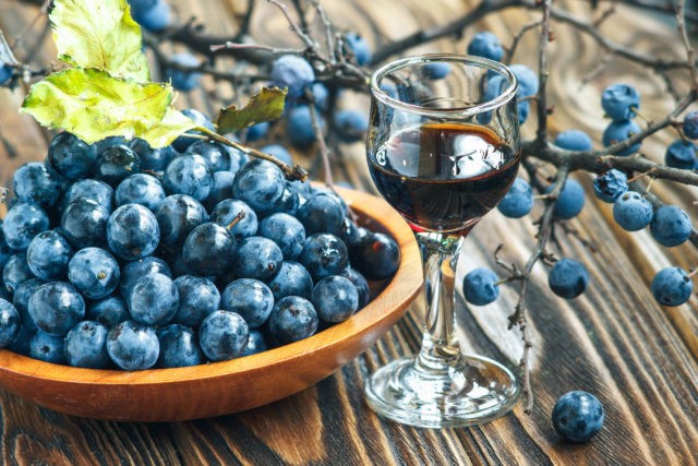 Pouring (tincture) of blueberries at home: 8 recipes