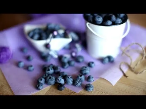 Pouring (tincture) of blueberries at home: 8 recipes