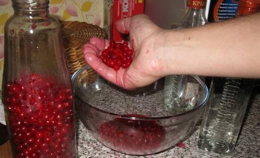 Pouring viburnum at home: recipe