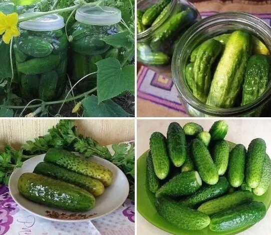 Prague cucumbers with lemon and citric acid for the winter: recipes, reviews