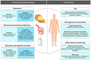 Prebiotics, probiotics &#8211; who need them and should they be taken, what are they in?