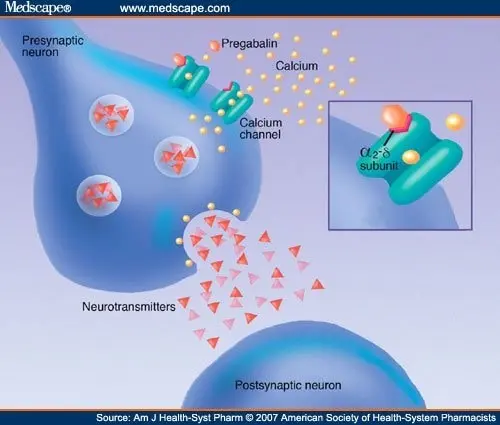 Pregabalin for epilepsy. The action of Pregabalin on the nervous system