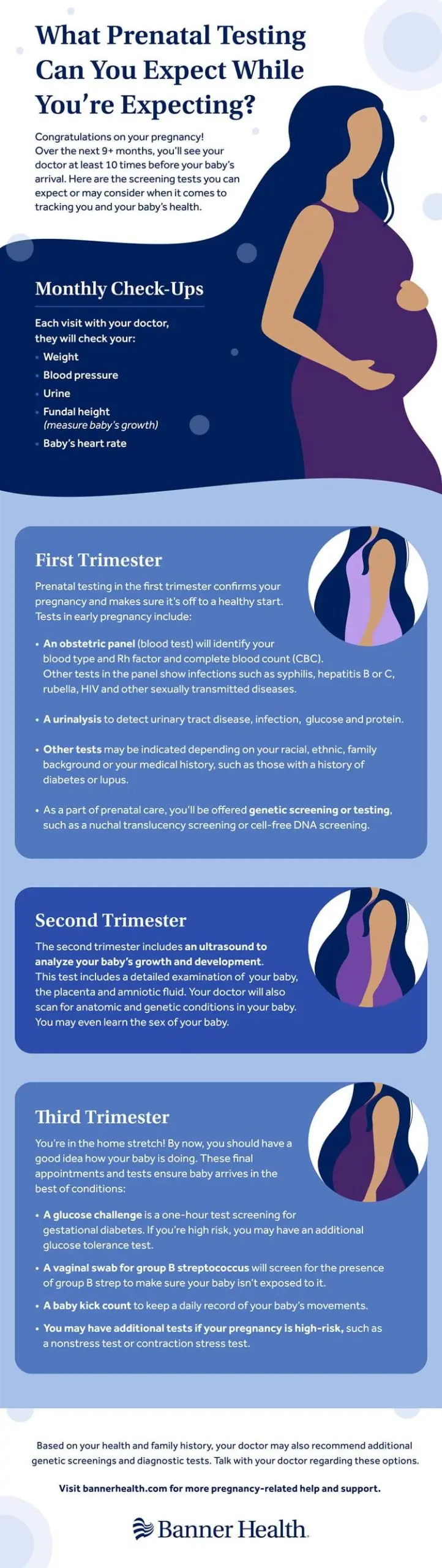 Pregnancy trimesters &#8211; course, child development, tests