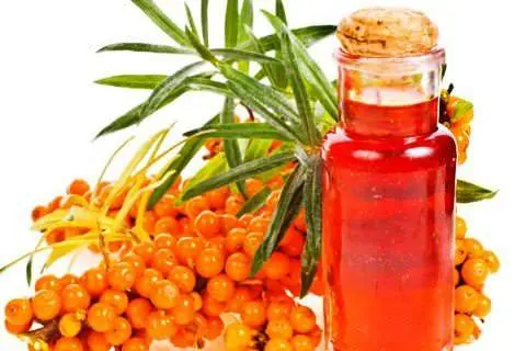 Preparation of sea buckthorn oil