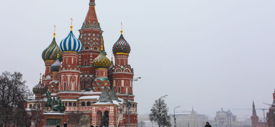 Preparing a budley for winter in the Moscow region