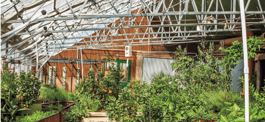 Preparing a greenhouse for winter: processing in the fall, tips for insulating a polycarbonate greenhouse