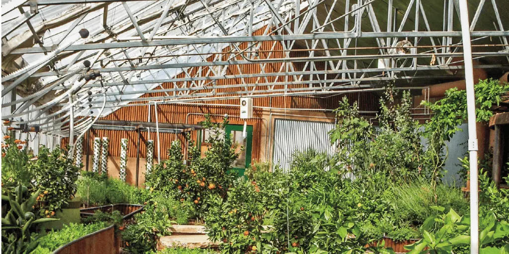 Preparing a greenhouse for winter: processing in the fall, tips for insulating a polycarbonate greenhouse