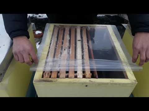 Preparing bees for winter outdoors