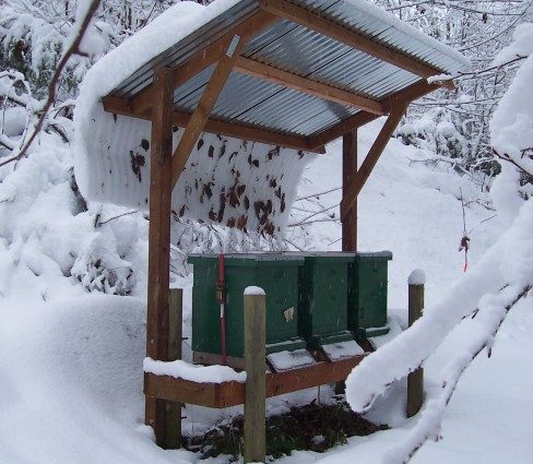 Preparing bees for winter outdoors