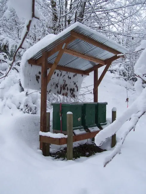 Preparing bees for winter outdoors