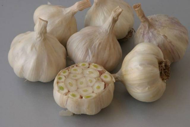 Preparing garlic for storage 