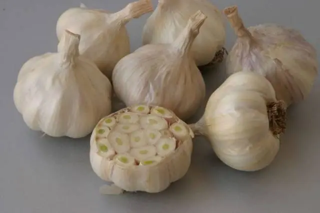 Preparing garlic for storage 