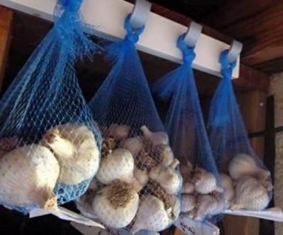 Preparing garlic for storage 