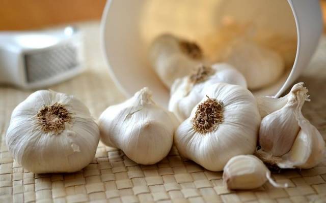 Preparing garlic for storage 