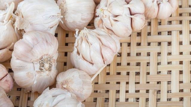 Preparing garlic for storage 