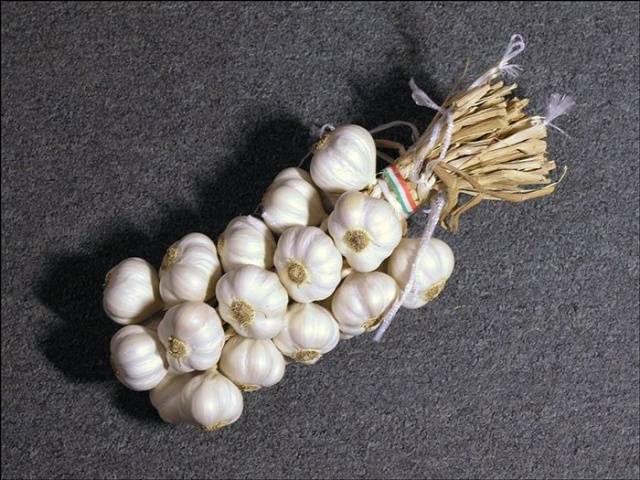 Preparing garlic for storage 