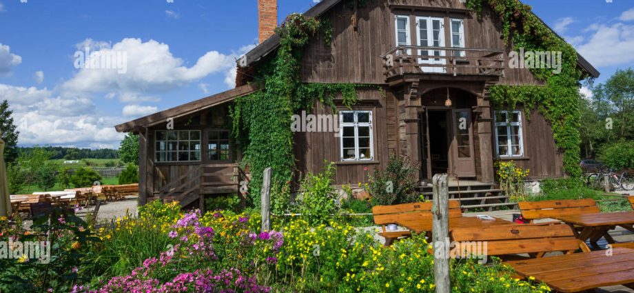 Preparing the dacha for winter: work on the garden plot, warming the summer frame country house for living in the cold