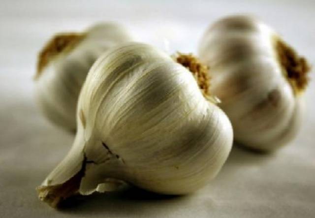 Preparing the garden for garlic