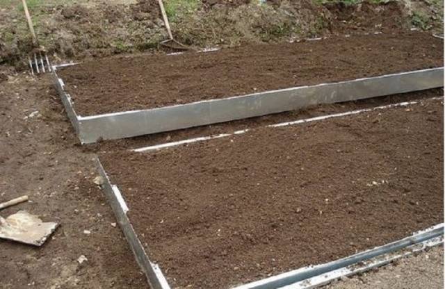 Preparing the garden for garlic